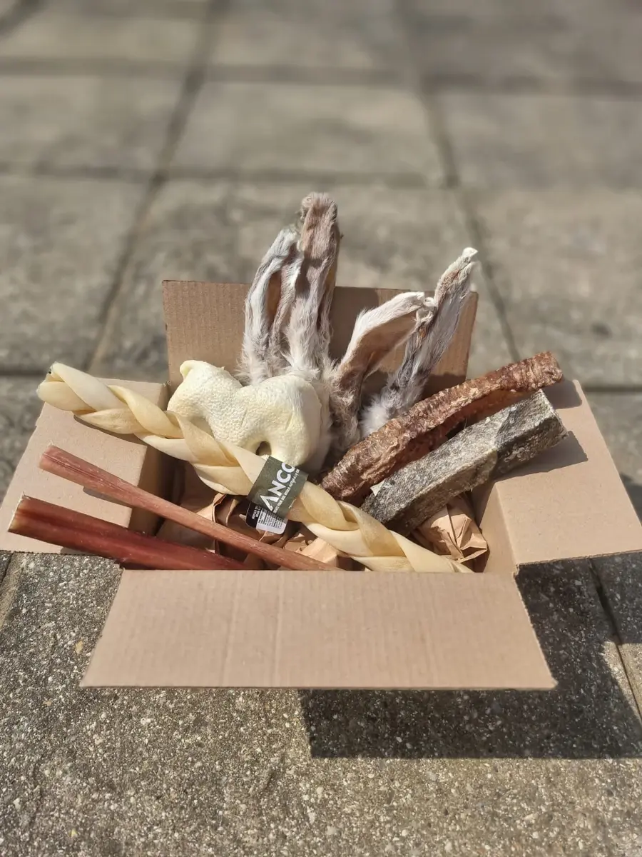Best Sellers Treat Box - Dog Stop natural dog treat