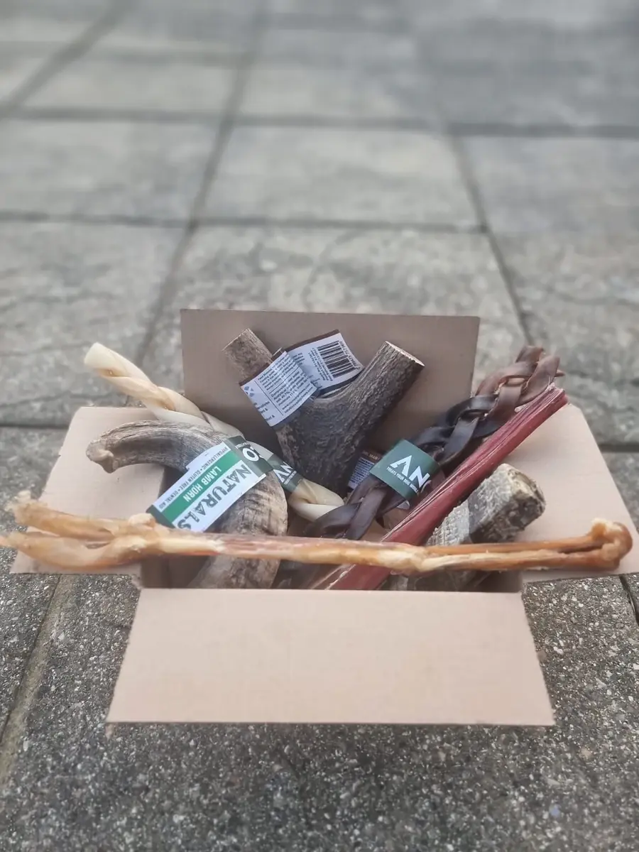 Long Lasting Treat Box